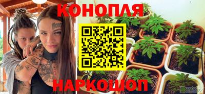 сатива Будённовск