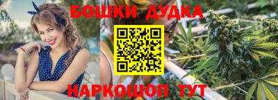 сатива Будённовск